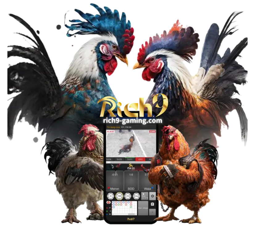 Rich9 COCK FIGHT​