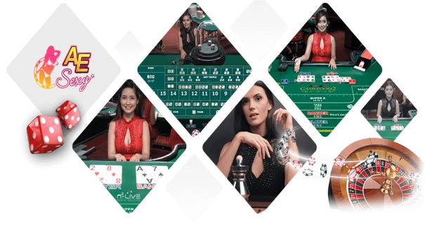 Rich9 online casino AE Sexy Baccarat